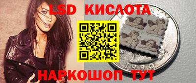 индика Обь