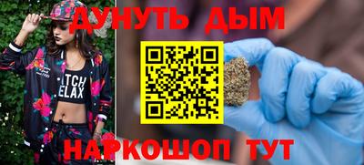 индика Обь