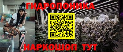 гашик Пенза