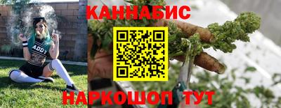 индика Обь