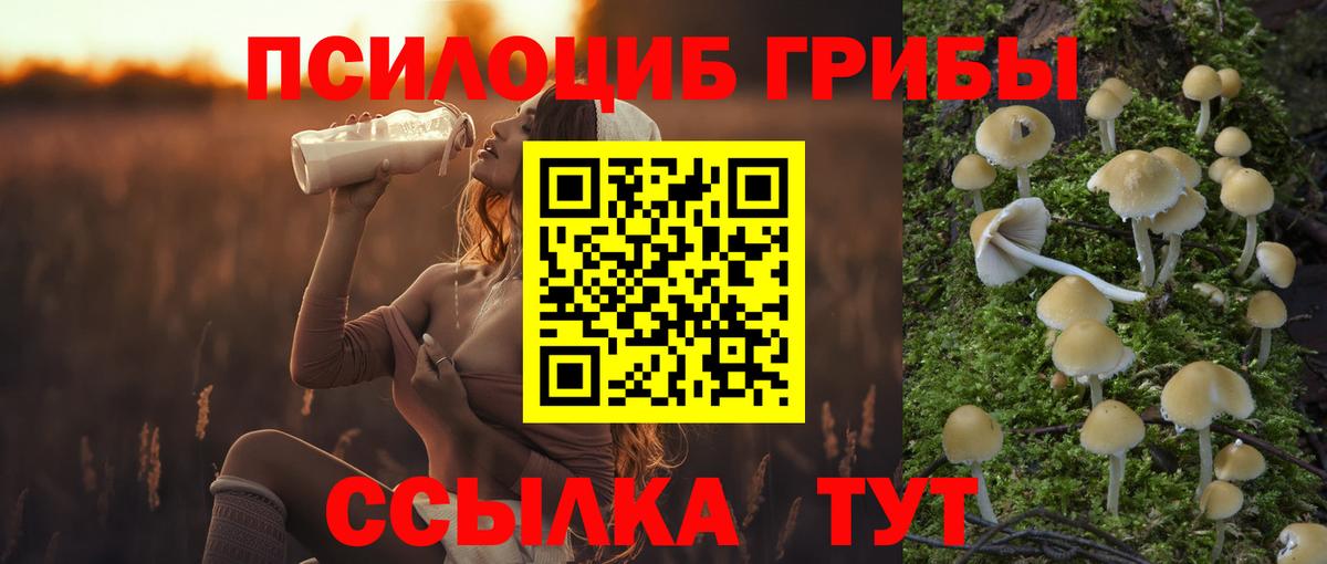 Галлюциногенные грибы Psilocybine cubensis  хочу наркоту  Соликамск  Псилоцибиновые грибы мухоморы  Вход с VPN 